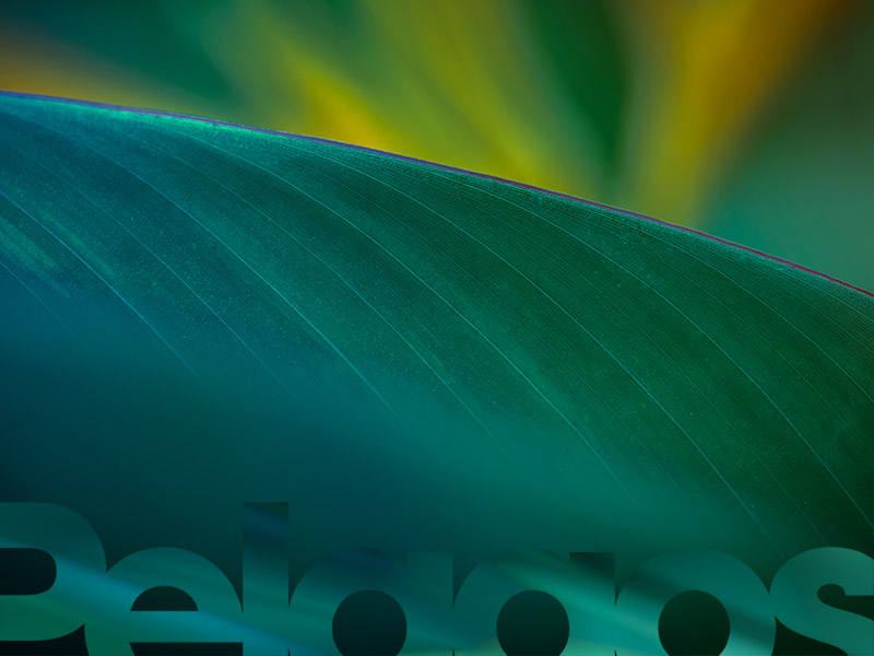 Pelagos media resources